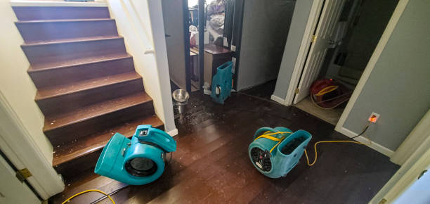 Best Water damage cleanup near me  in Tolar, TX