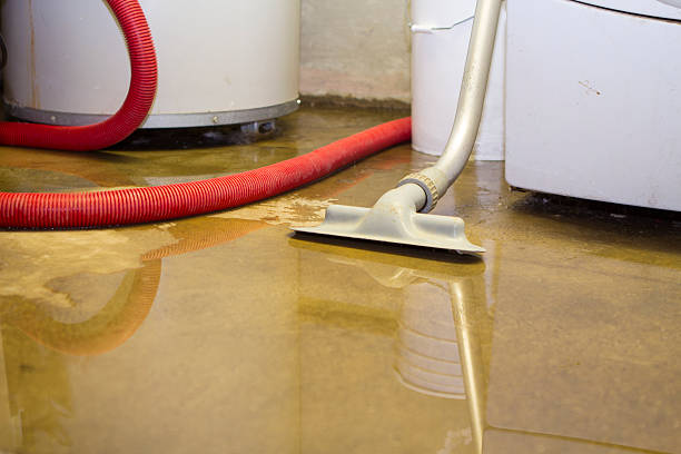 Best Water damage restoration near me  in Tolar, TX