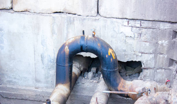 Best Basement water damage restoration  in Tolar, TX