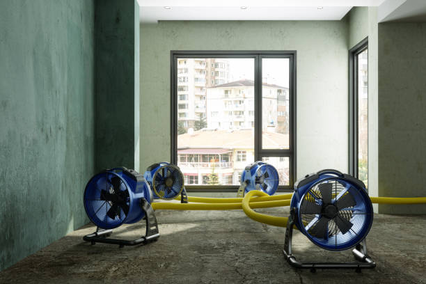 Best Mold removal after water damage  in Tolar, TX